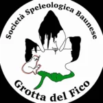 Grotta del Fico